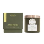 Nordic Breeze Medium Size Candle - Image 2